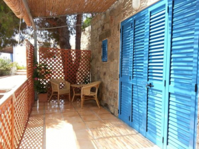 Mono Celestino
